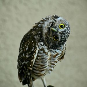 😀❤Considering all offers!!😀😀👍👍